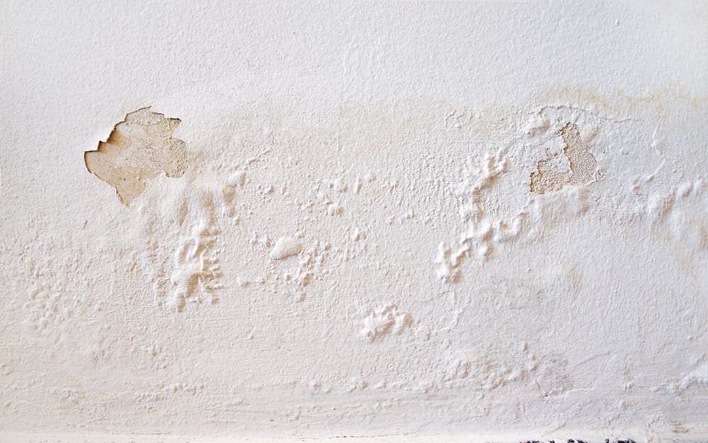 What Is Making My Paint Peel on the Interior of My Home?